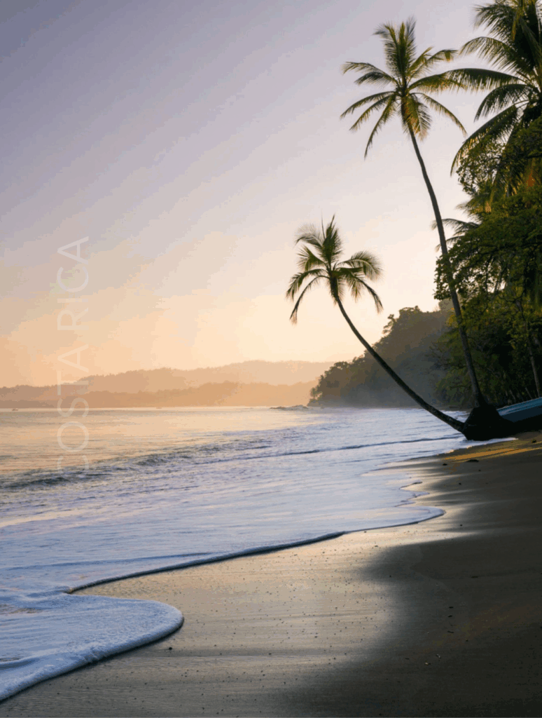 Sunset over a tropical beach with leaning palm trees, calm waves, and a forested coastline in the distance (Costa Rica).