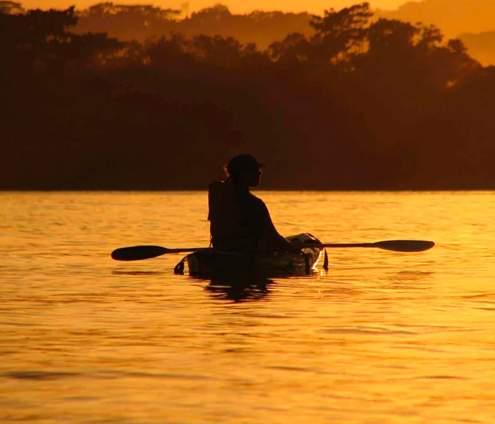 Silhouette of a kayaker paddling on orange sunset water with trees in the distance.